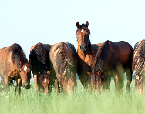 Fear of Failure, a Lifelong Search for Love and Fulfillment