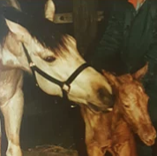 Fear of Failure, a Lifelong Search for Love and Fulfillment