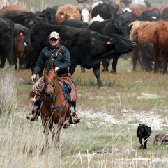 Fear of Failure, a Lifelong Search for Love and Fulfillment