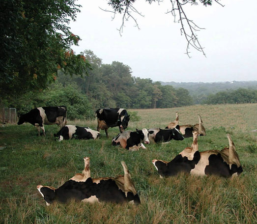 Fear of Failure, a Lifelong Search for Love and Fulfillment