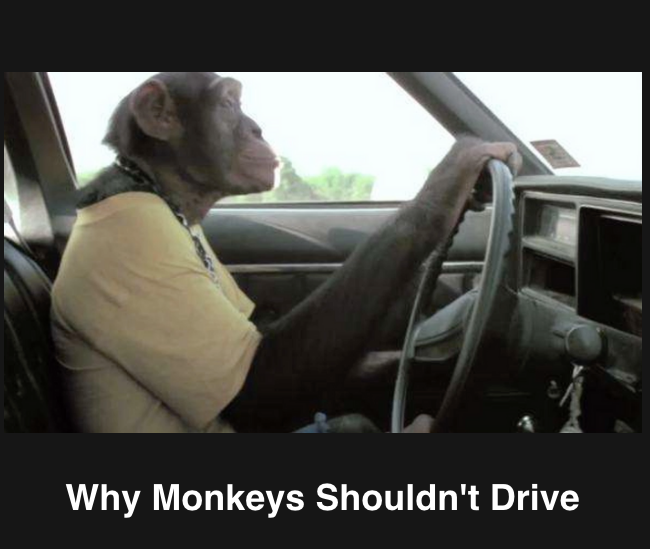 Fear of Failure, a Lifelong Search for Love and Fulfillment