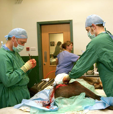 Fear of Failure, a Lifelong Search for Love and Fulfillment