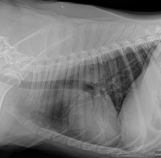 Fear of Failure, a Lifelong Search for Love and Fulfillment