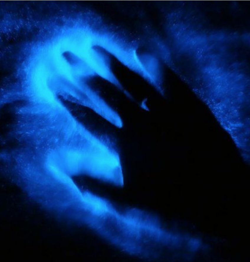 Fear of Failure, a Lifelong Search for Love and Fulfillment