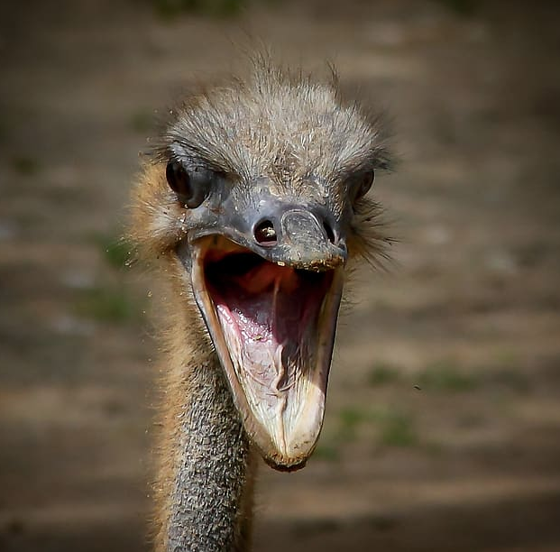 Fear of Failure, a Lifelong Search for Love and Fulfillment