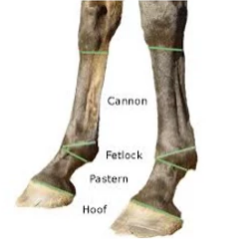 Fear of Failure, a Lifelong Search for Love and Fulfillment