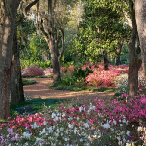 Fear of Failure, a Lifelong Search for Love and Fulfillment