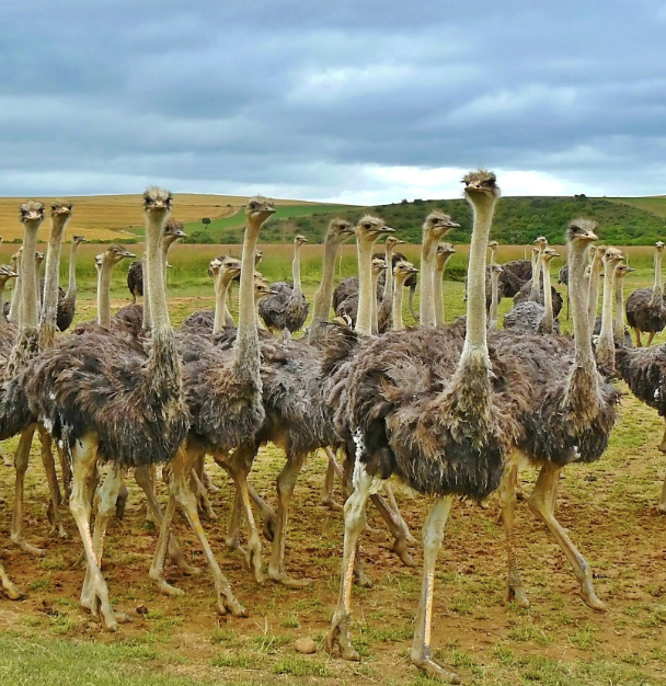 Fear of Failure, a Lifelong Search for Love and Fulfillment