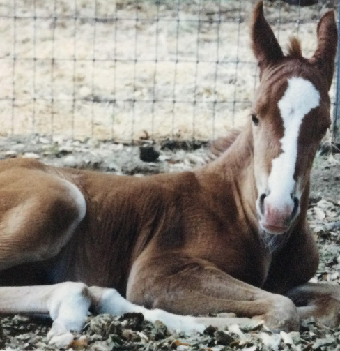 Fear of Failure, a Lifelong Search for Love and Fulfillment