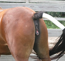 Fear of Failure, a Lifelong Search for Love and Fulfillment