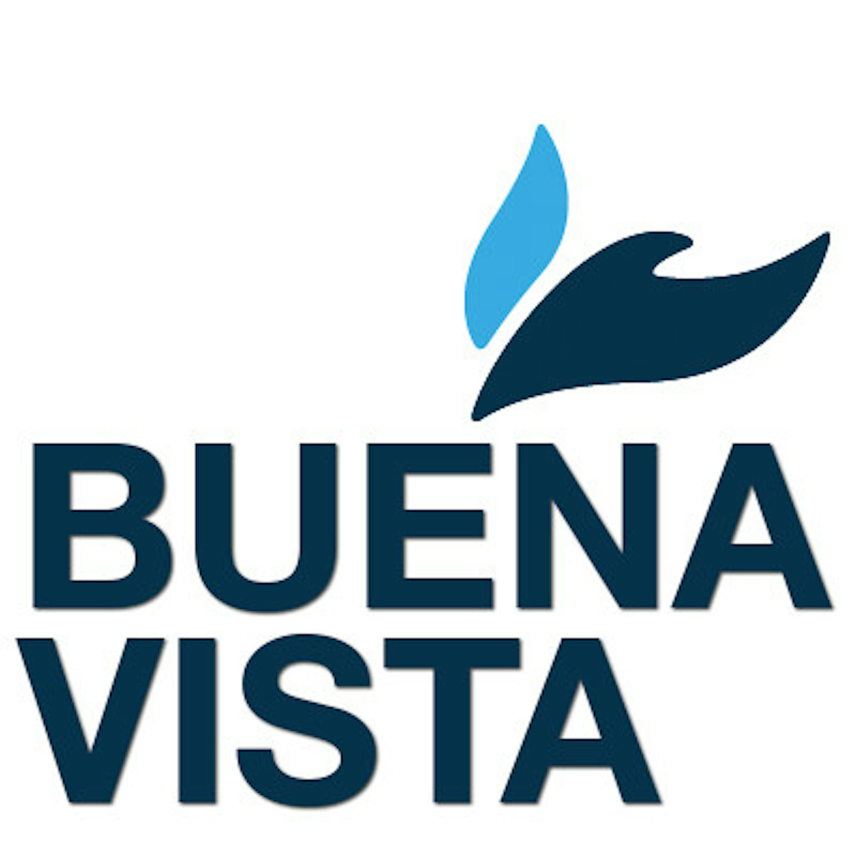Buena Vista Wesleyan Church