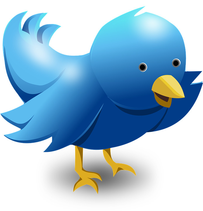 Twitter Automation Software Rules and Best practices
