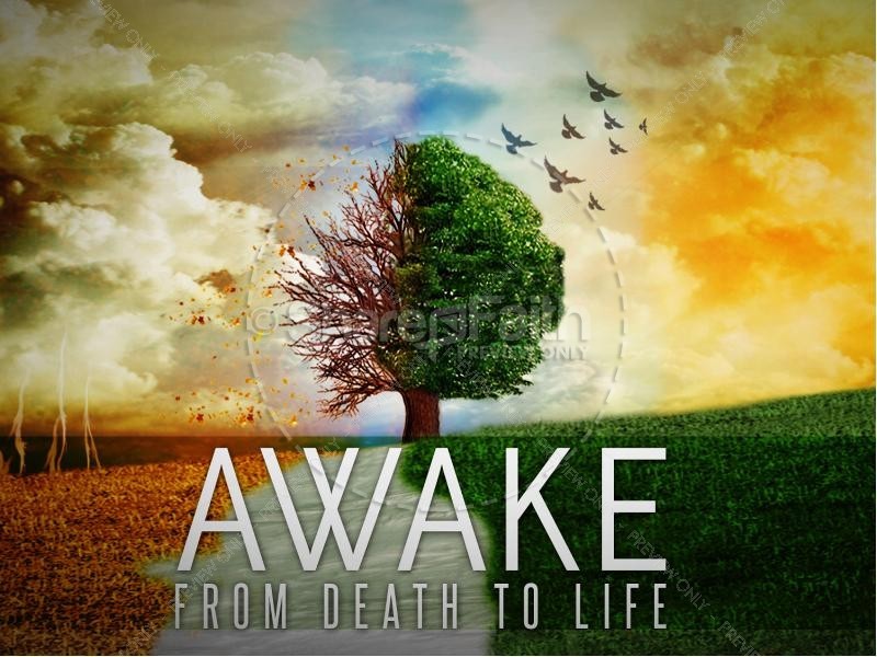 New Life episode artwork