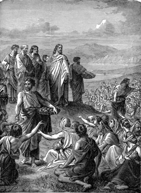 Homily for 18th Sunday in Cycle A episode artwork