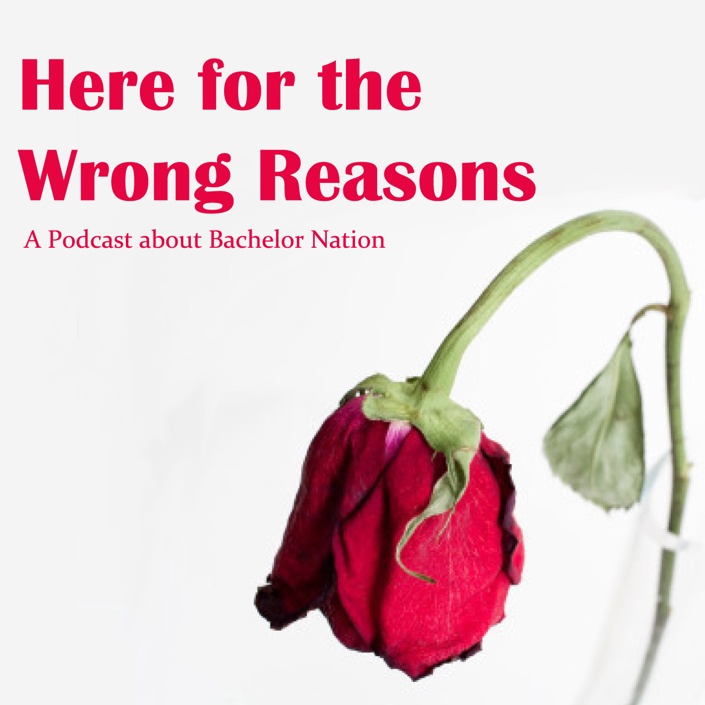 What's with the Rose, Bros?