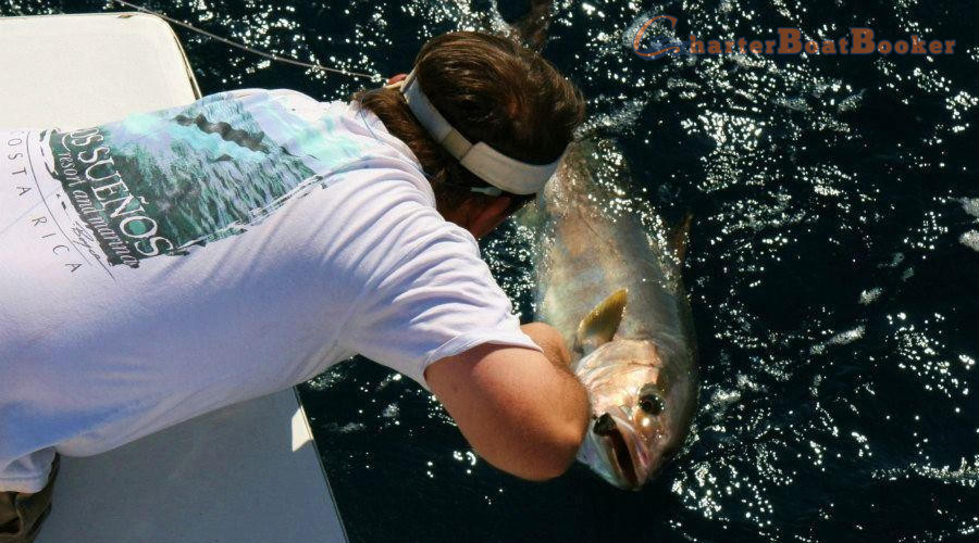 Gulf Shores Charter Fishing