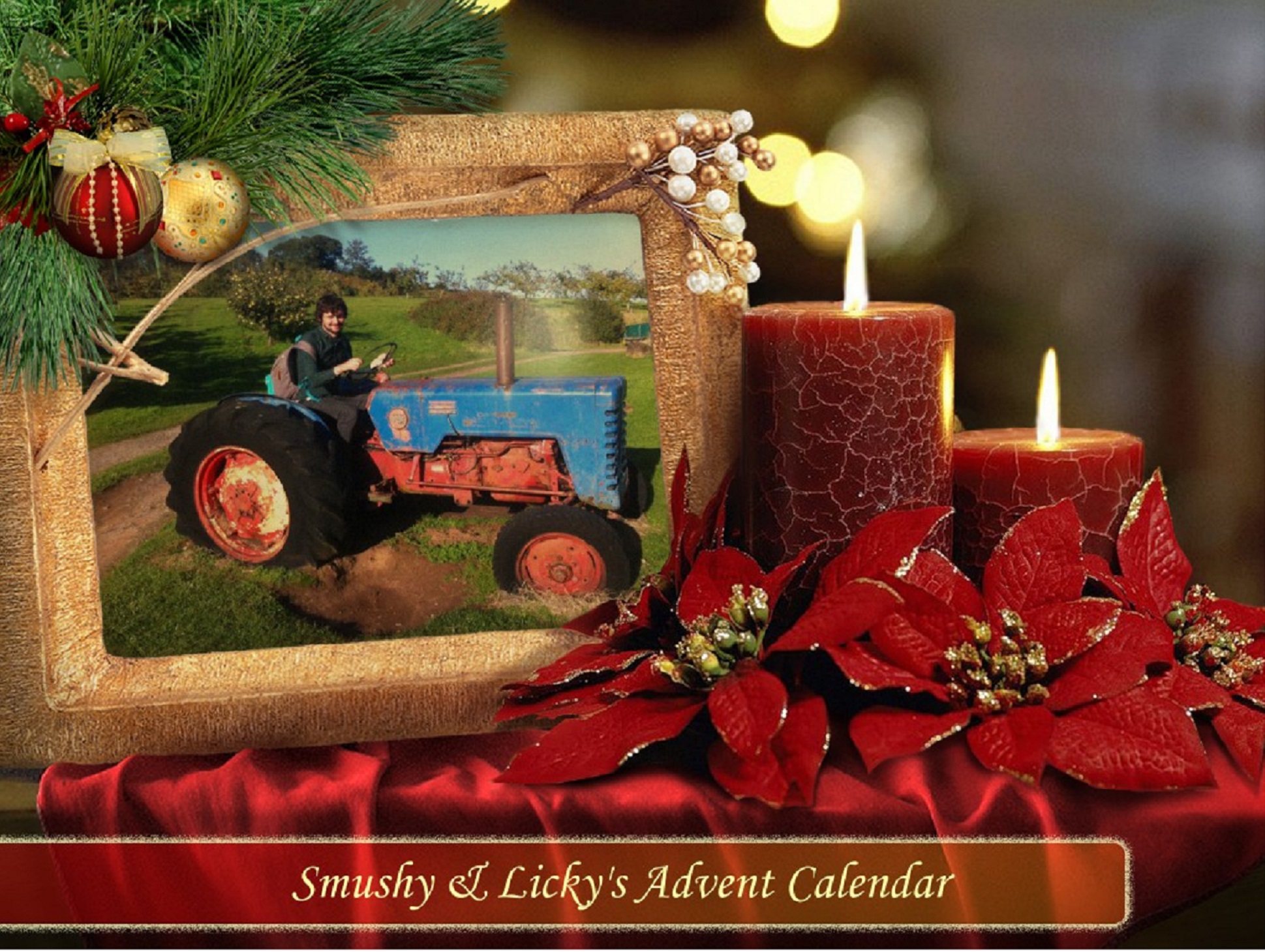 Smushy & Licky's Advent Calendar