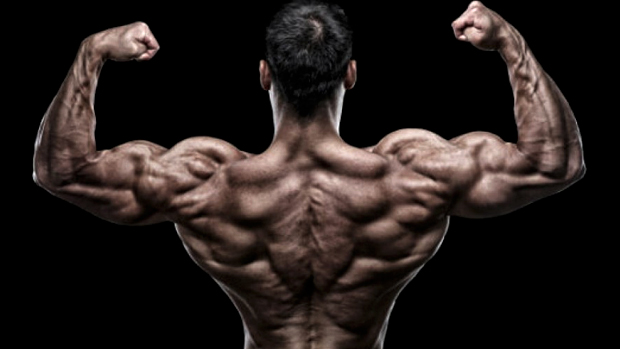 Testosterone Booster Advisors