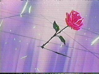 Anime 1101 - The Basics + Interview