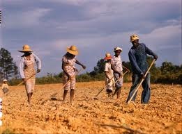 [BLOCKED] Sharecropping: The Failure to Deliver in the Reconstruction Era