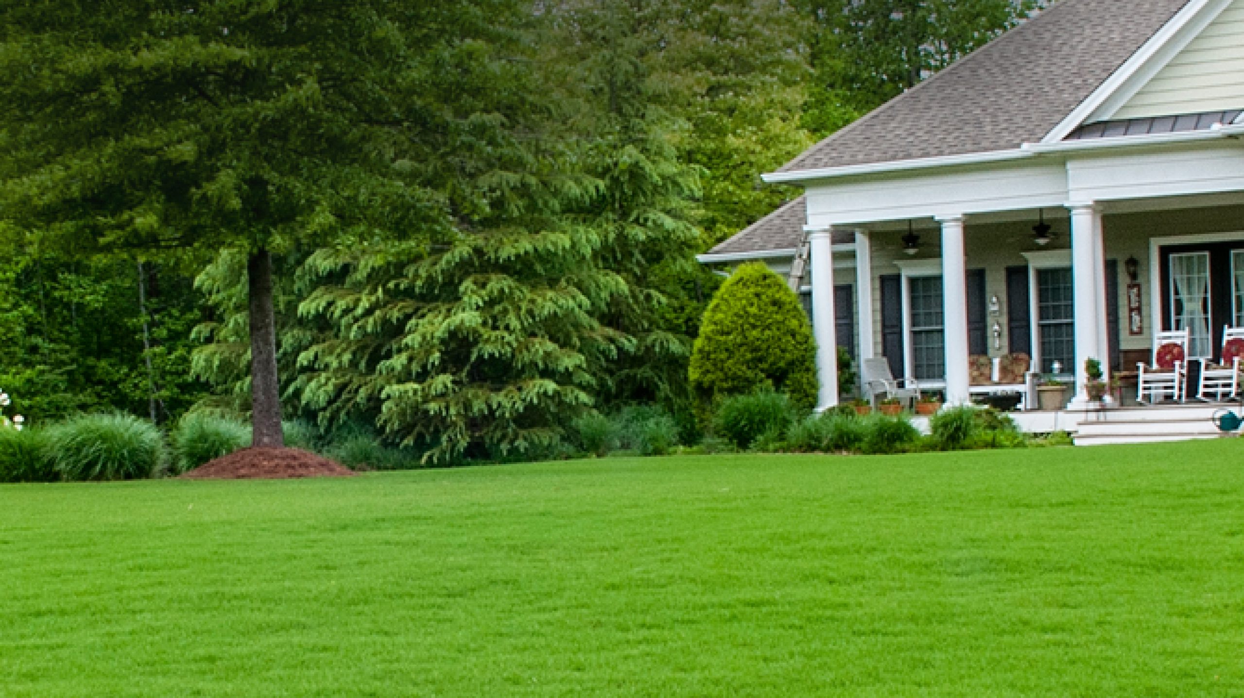 Best Artificial Grass | http://www.bestartificialgrass.com/