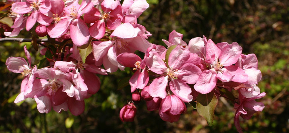 Funeral Home Parkland