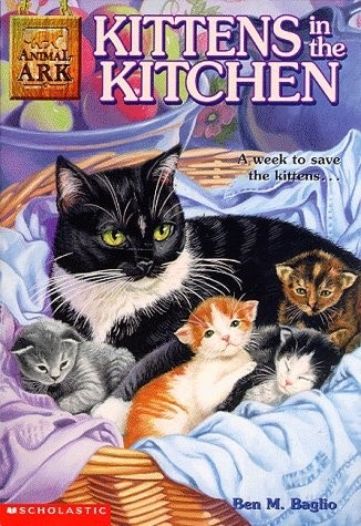 Kittens in the Kitchen Kittens in the Kitchen