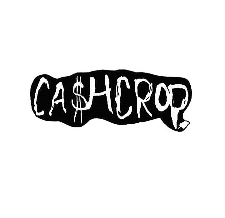 Cash Crop podcast artwork