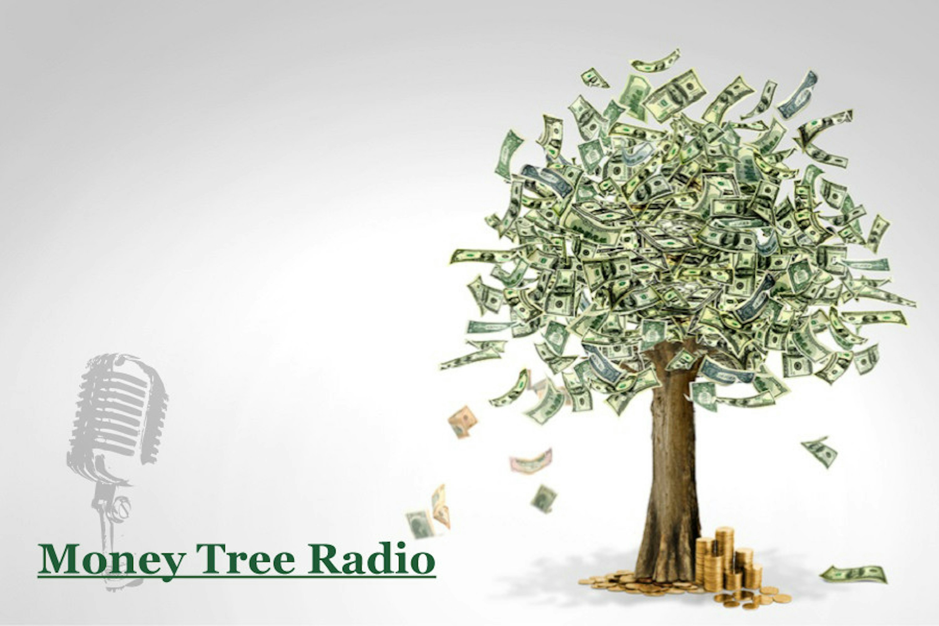 Money Tree Radio