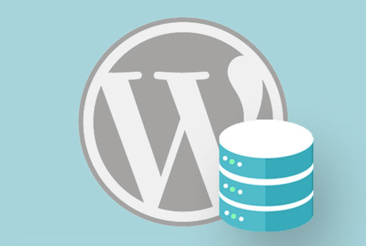 What are Some Best WordPress BackUp Tools
