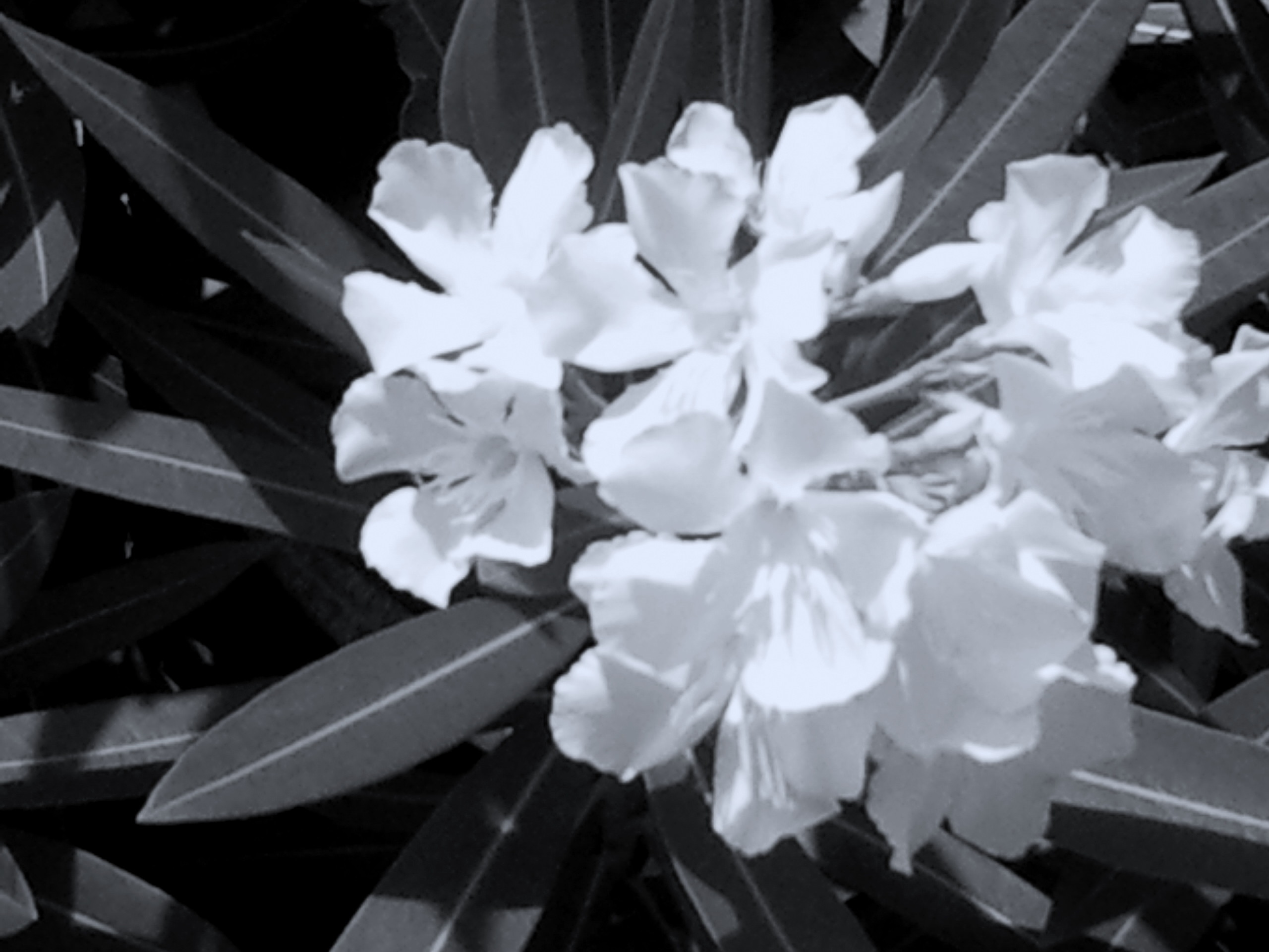 Crooked Wall and Plumb Lines