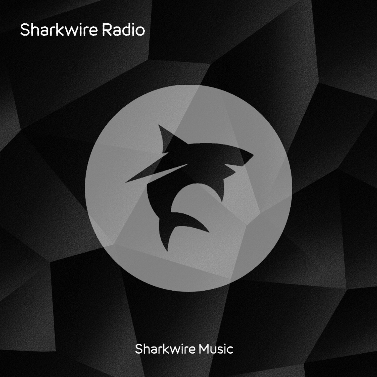 Sharkwire Radio